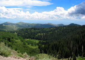 Beautiful Valley