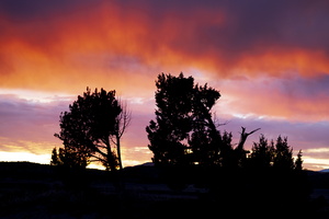Sun Rise