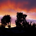 Sun Rise