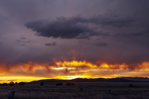 Desert Sun Rise