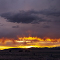 Desert Sun Rise