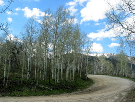 Mountain Road