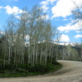 Mountain Road