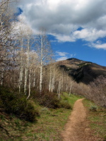Mountain Path