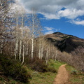 Mountain Path