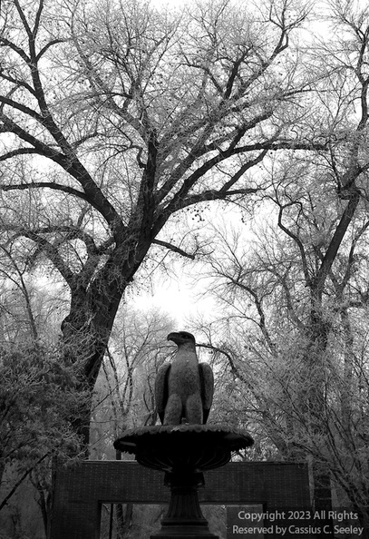 100-0032_IMG-RT-BW-CR-21.jpg