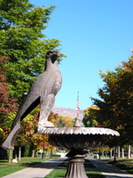 Eagle and Flag