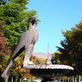 Eagle and Flag