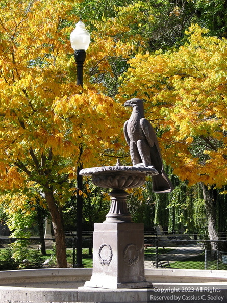 113-1335_IMG-WS.jpg