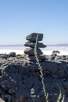 Stone and Weed
