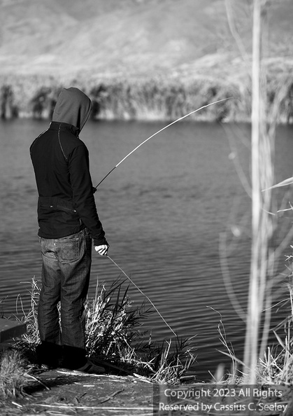 Cassius_BW_5497.JPG