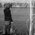 Solitude