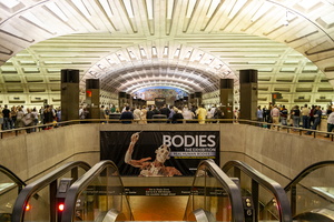 Bodies