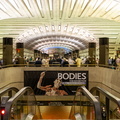 Bodies